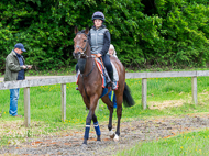 CH290522-35 - Charlie Hills Stable Visit